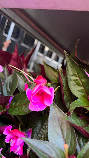 Home Improvement Store «The Home Depot», reviews and photos, 32525 Northwestern Hwy, Farmington Hills, MI 48334, USA