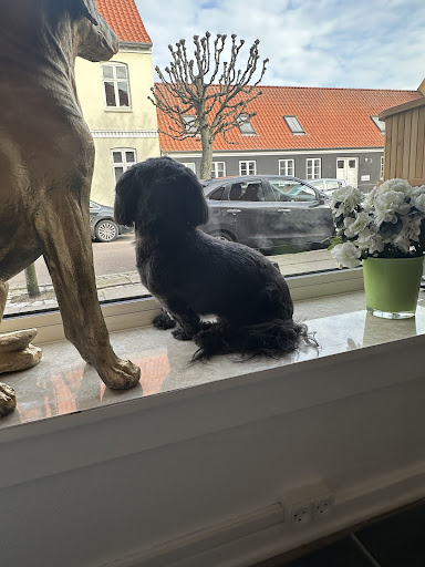 Møllees Hundesalon in Skælskør, Skælskør