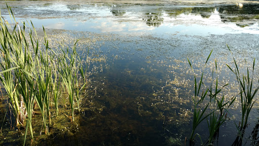 Nature Preserve «Lakewood Forest Preserve», reviews and photos, 27277 N Forest Preserve Rd, Wauconda, IL 60084, USA