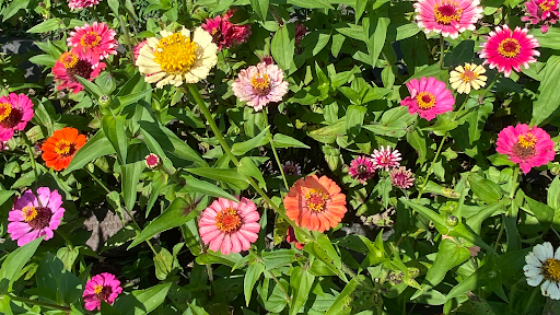 Florist «Petals of Love», reviews and photos, 5350 W 130th St, Brook Park, OH 44142, USA