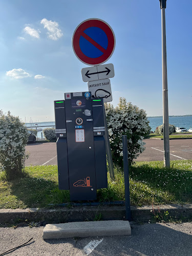 Borne de recharge de véhicules électriques SDE Aube Charging Station Mesnil-Saint-Père