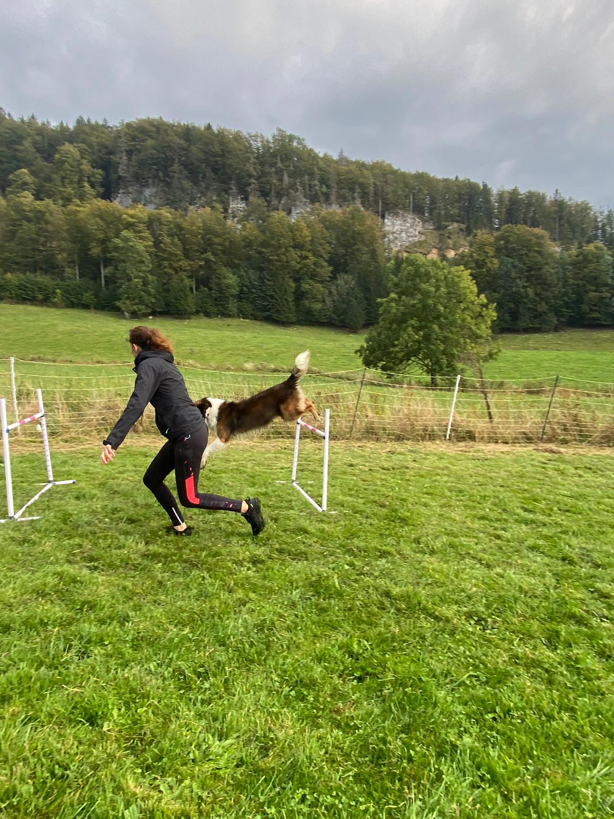 Photo n° 1 de l'avis de Marlène.u fait le 16/10/2023 à 14:53