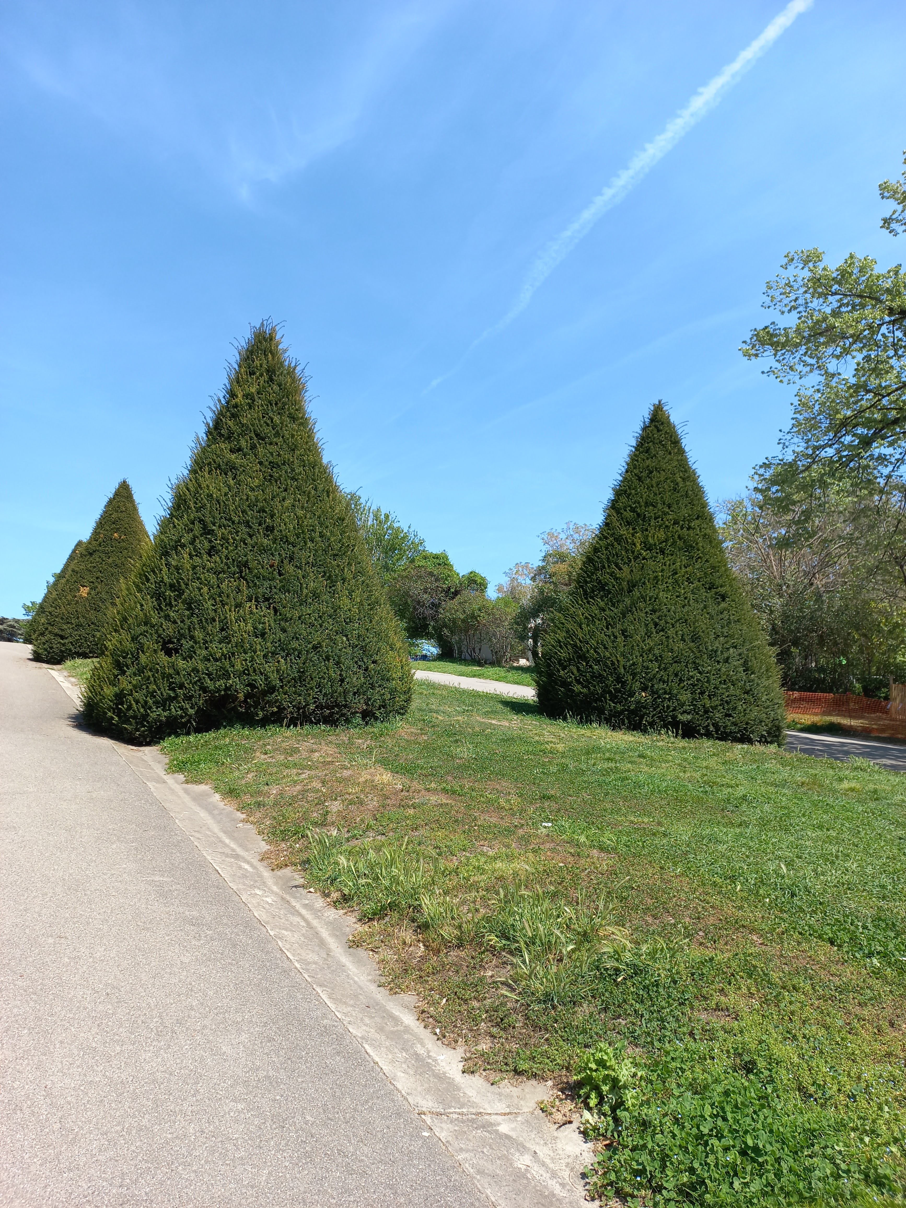 Photo n° 7 de l'avis de Assya.a fait le 01/05/2022 à 10:02