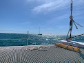 Maxi Catamaran Voilemed - Port Camargue / Grau-du-Roi Le Grau-du-Roi