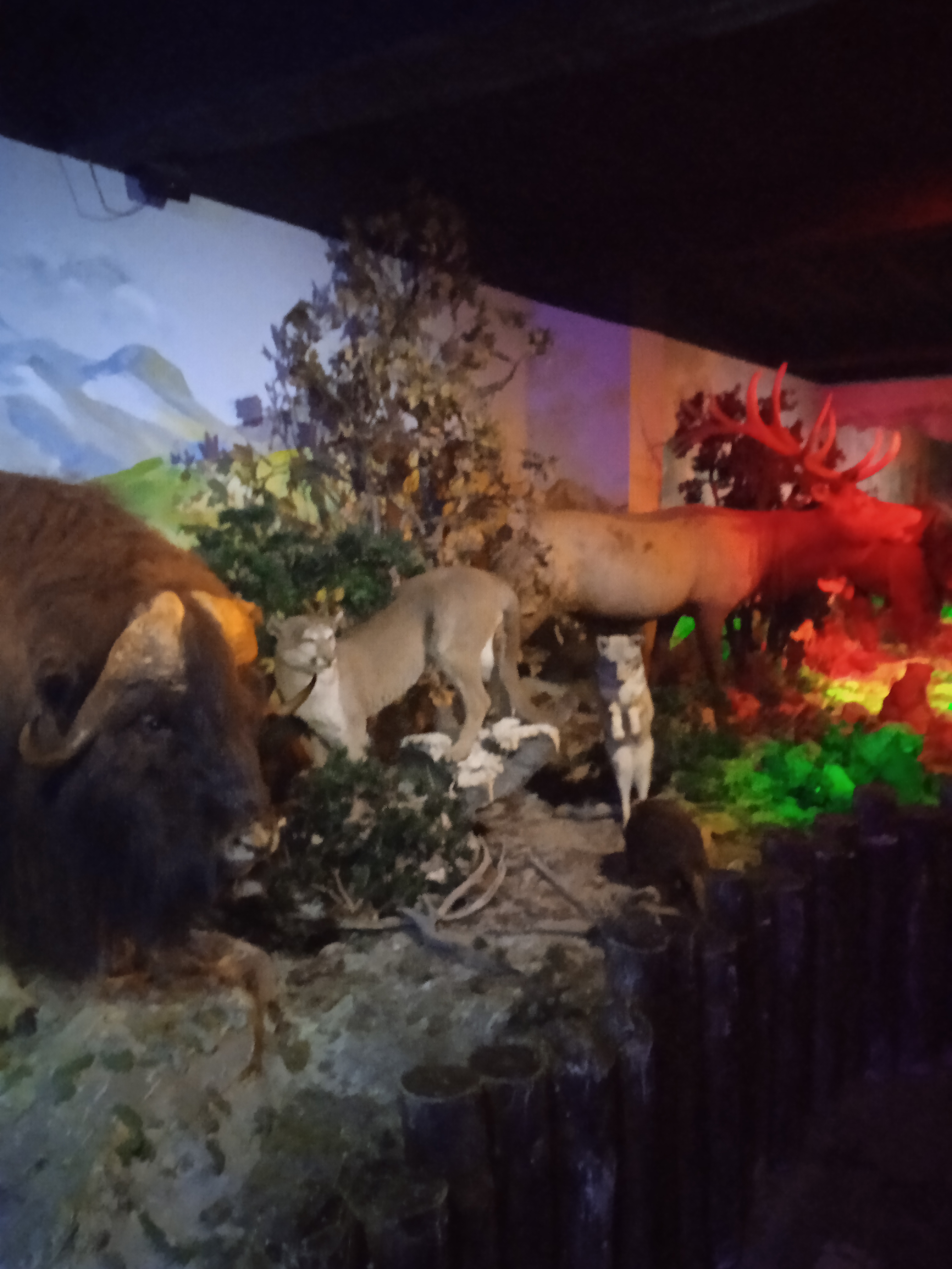 Photo n° 22 de l'avis de Gamer.p fait le 04/06/2022 à 18:21