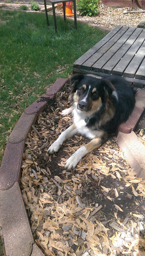 Pet Supply Store «F-M Dog Obedience School», reviews and photos, 1214 Main Ave, Moorhead, MN 56560, USA