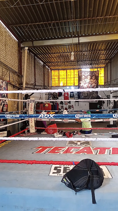 Gym Juárez Boxing - C. Nevado de Toluca 110, Col Linda Vista, 74078 San Martín Texmelucan de Labastida, Pue., Mexico