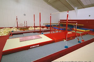 Hinckley & Burbage Gymnastics Club image