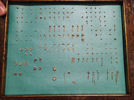 Explore tattoo ideas female back, creative tattoo ideas in Elmhurst, available at TRUE EXPRESSION - Fine Piercing Studio