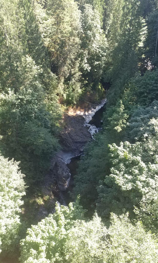 Tourist Attraction «ZiplineX Zip Line Tours», reviews and photos, 32016 NE Healy Rd, Amboy, WA 98601, USA