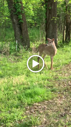 Golf Club «Five Oaks Golf & Country Club», reviews and photos, 621 5 Oaks Blvd, Lebanon, TN 37087, USA