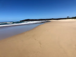 Foto von Angourie Back Beach mit sehr sauber Sauberkeitsgrad