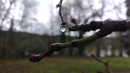 Park «Meldrum Bar Park», reviews and photos, 19 Meldrum Bar Park Rd, Gladstone, OR 97027, USA