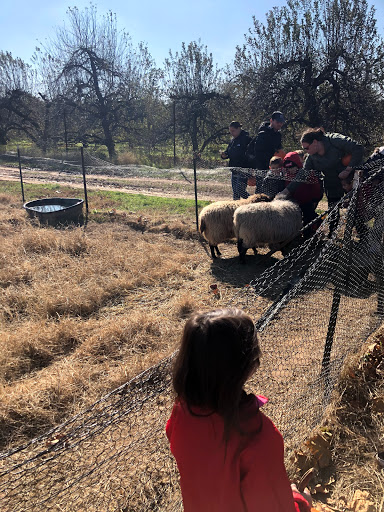 Produce Market «Solly Brothers», reviews and photos, 707 Almshouse Rd, Warminster, PA 18974, USA