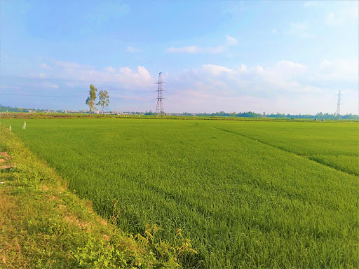 Bãi Biển Rêu Xanh ,Tuy Hòa , Phú Yên