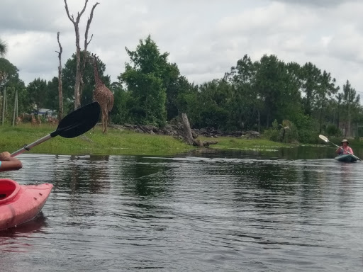 Zoo «Brevard Zoo», reviews and photos, 8225 N Wickham Rd, Melbourne, FL 32940, USA