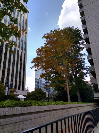 Shopping Mall «Crystal City Shops», reviews and photos, 2200 Crystal Dr, Arlington, VA 22202, USA