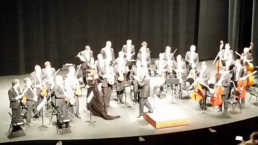 Performing Arts Theater «Cutler Majestic Theatre», reviews and photos, 219 Tremont St, Boston, MA 02116, USA