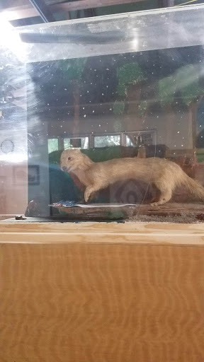 Nature Preserve «Calusa Nature Center & Planetarium», reviews and photos, 3450 Ortiz Ave, Fort Myers, FL 33905, USA