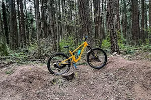 Swan Creek Mountain Bike Park image