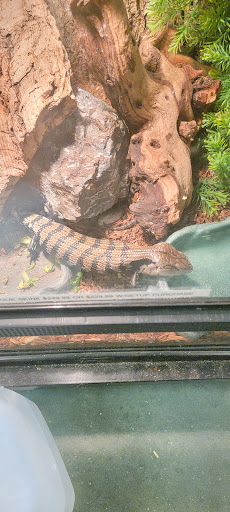 Pet Store «Olathe Pet Shop», reviews and photos, 16651 151st St, Olathe, KS 66062, USA