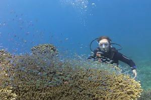 Bali Hai Diving Adventures Lembongan image