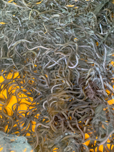 Top 20 caard cửa hàng Huyện Long Hồ Vĩnh Long 2022