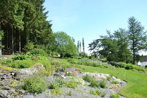 Stavanger Botanical Garden image