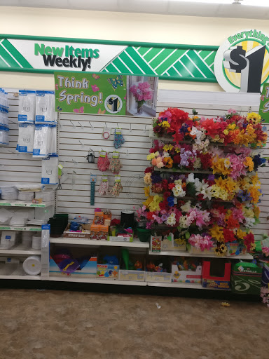 Dollar Store «Dollar Tree», reviews and photos, 35233 Newark Blvd c, Newark, CA 94560, USA