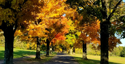 Public Golf Course «Neshaminy Valley Golf Club - OPEN to PUBLIC», reviews and photos, 440 Almshouse Rd, Richboro, PA 18954, USA
