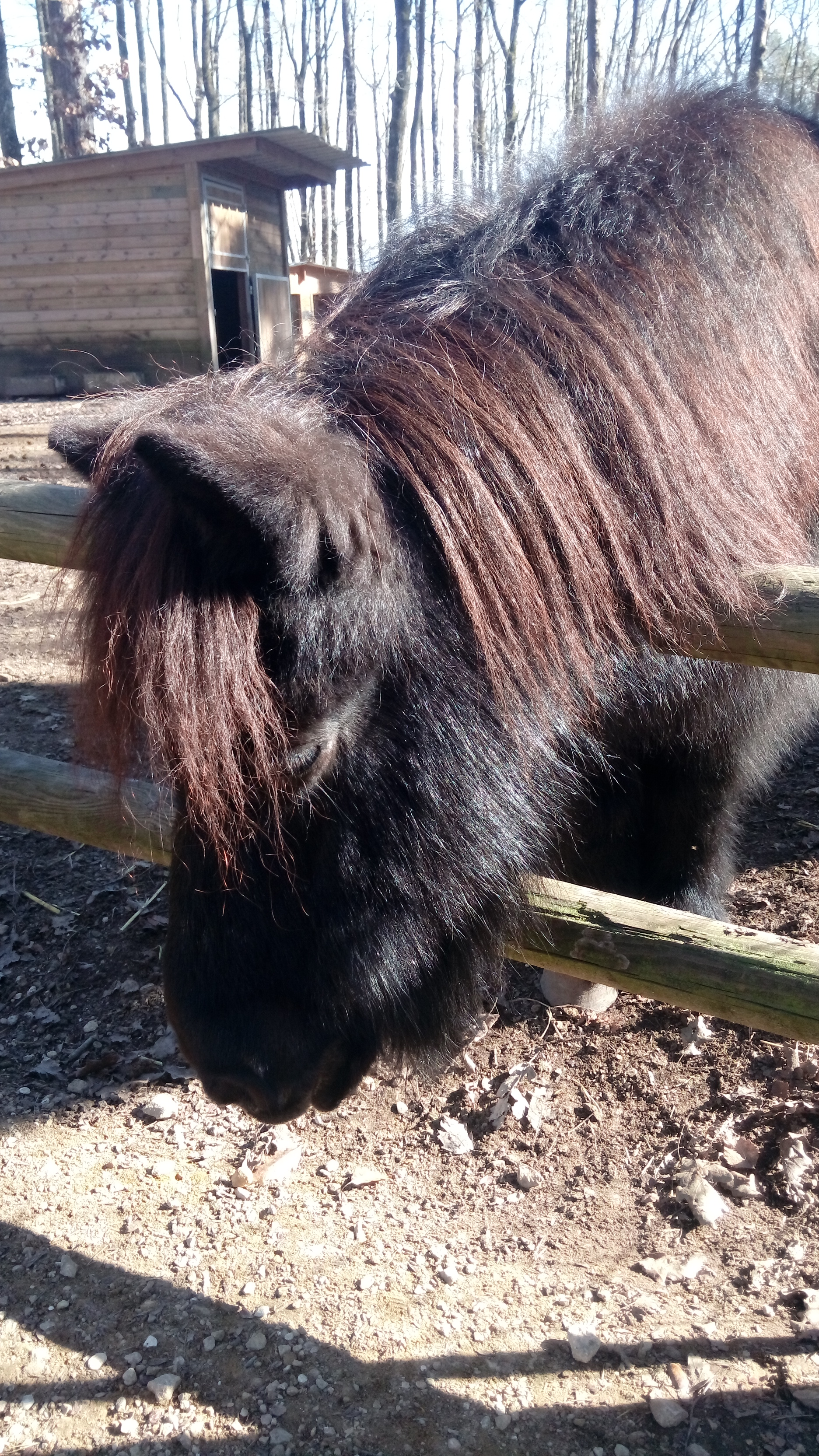 Photo n° 1 de l'avis de Salomez.a fait le 23/02/2019 à 15:38