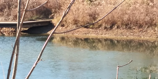 Nature Preserve «Cincinnati Nature Center», reviews and photos, 4949 Tealtown Rd, Milford, OH 45150, USA