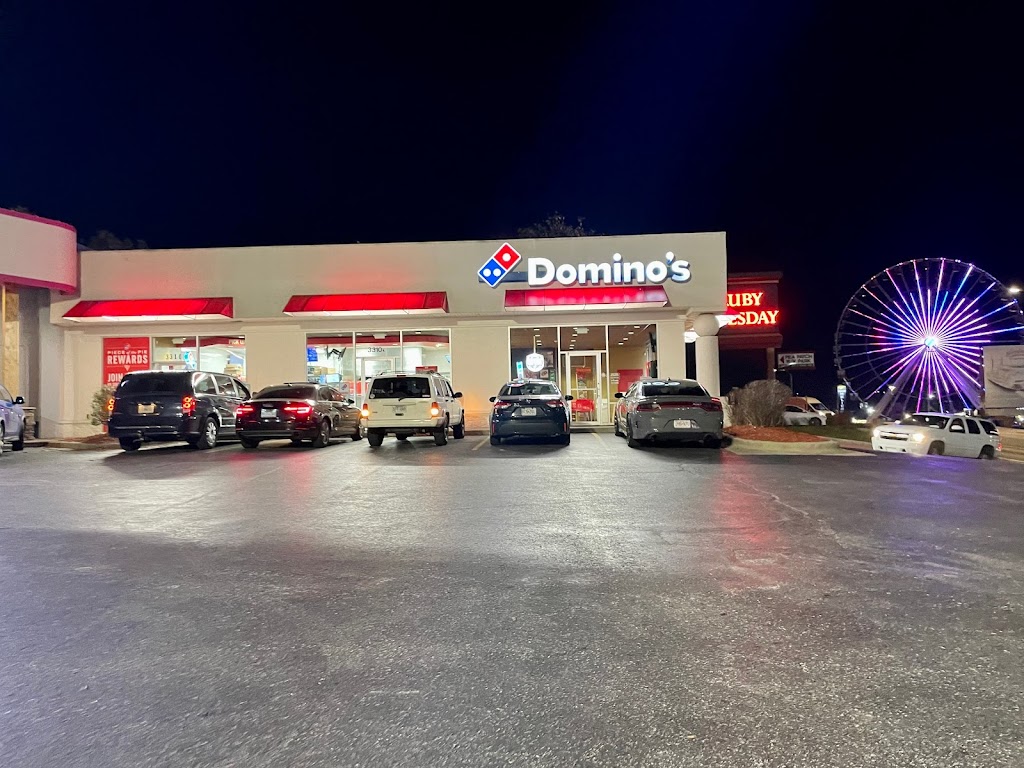 Domino's Pizza 65616