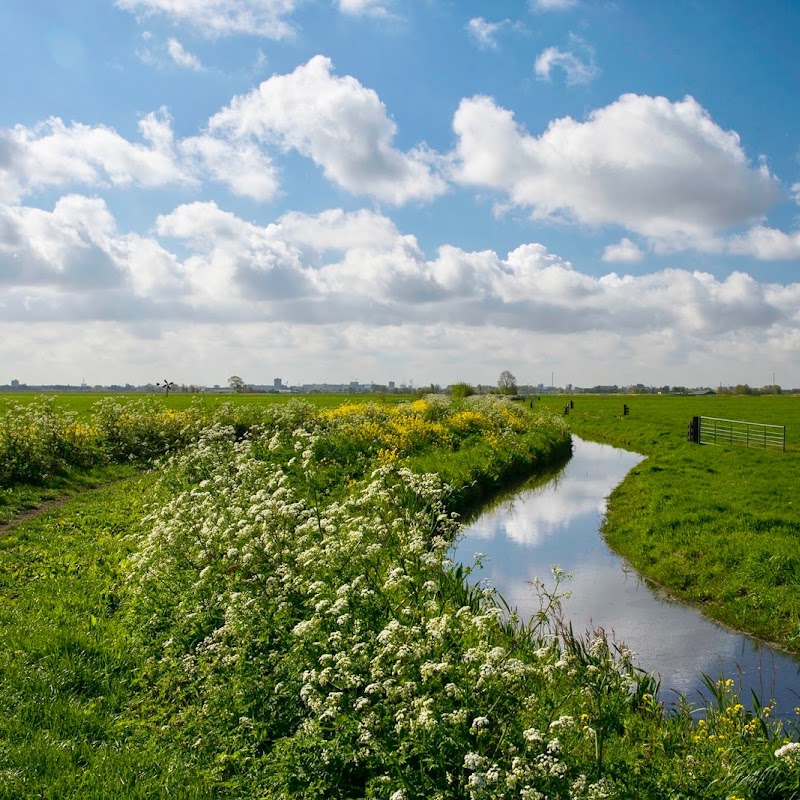 Abtswoudse Bos