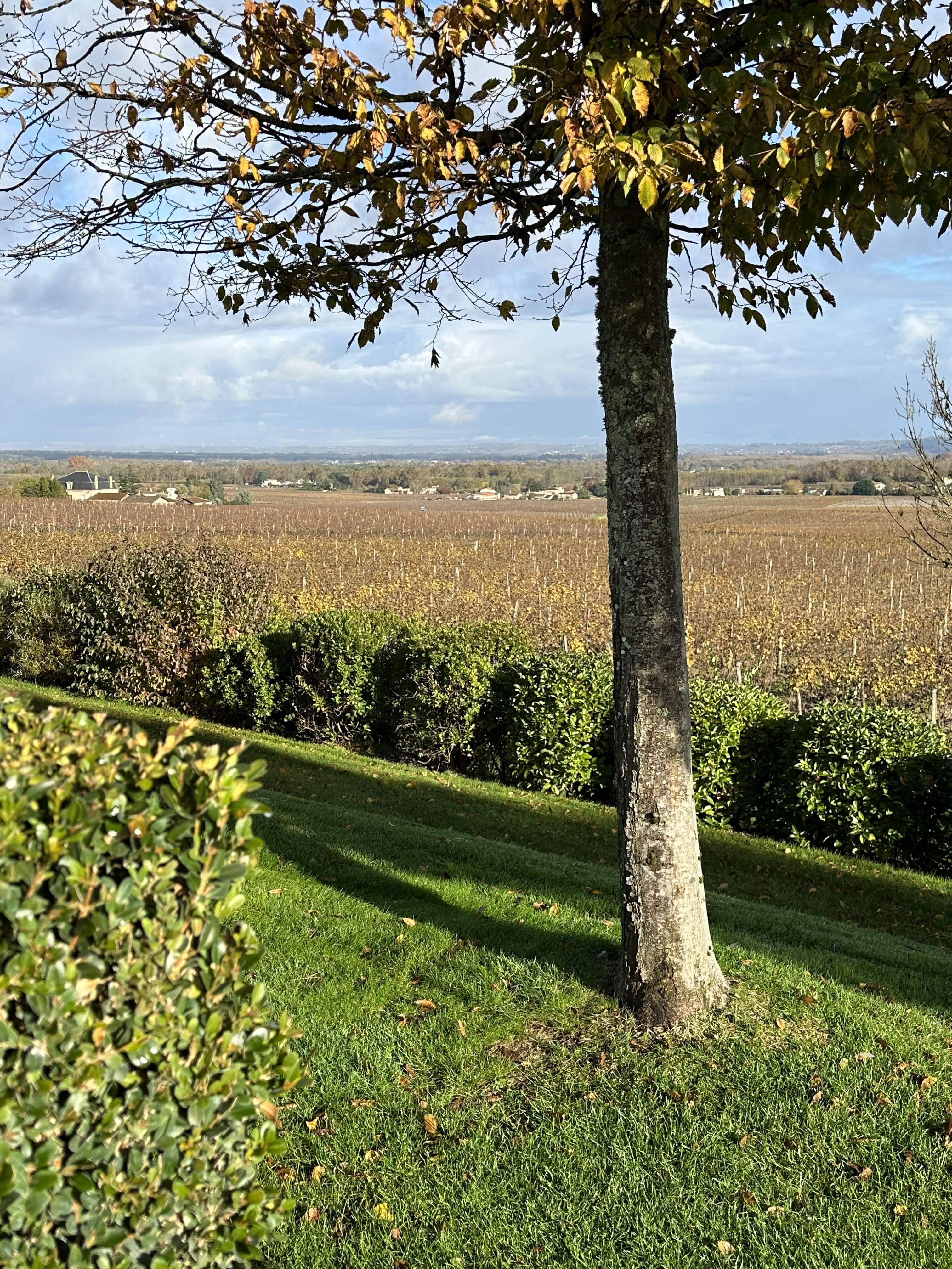 Photo n° 5 de l'avis de Eric.a fait le 17/11/2023 à 10:01