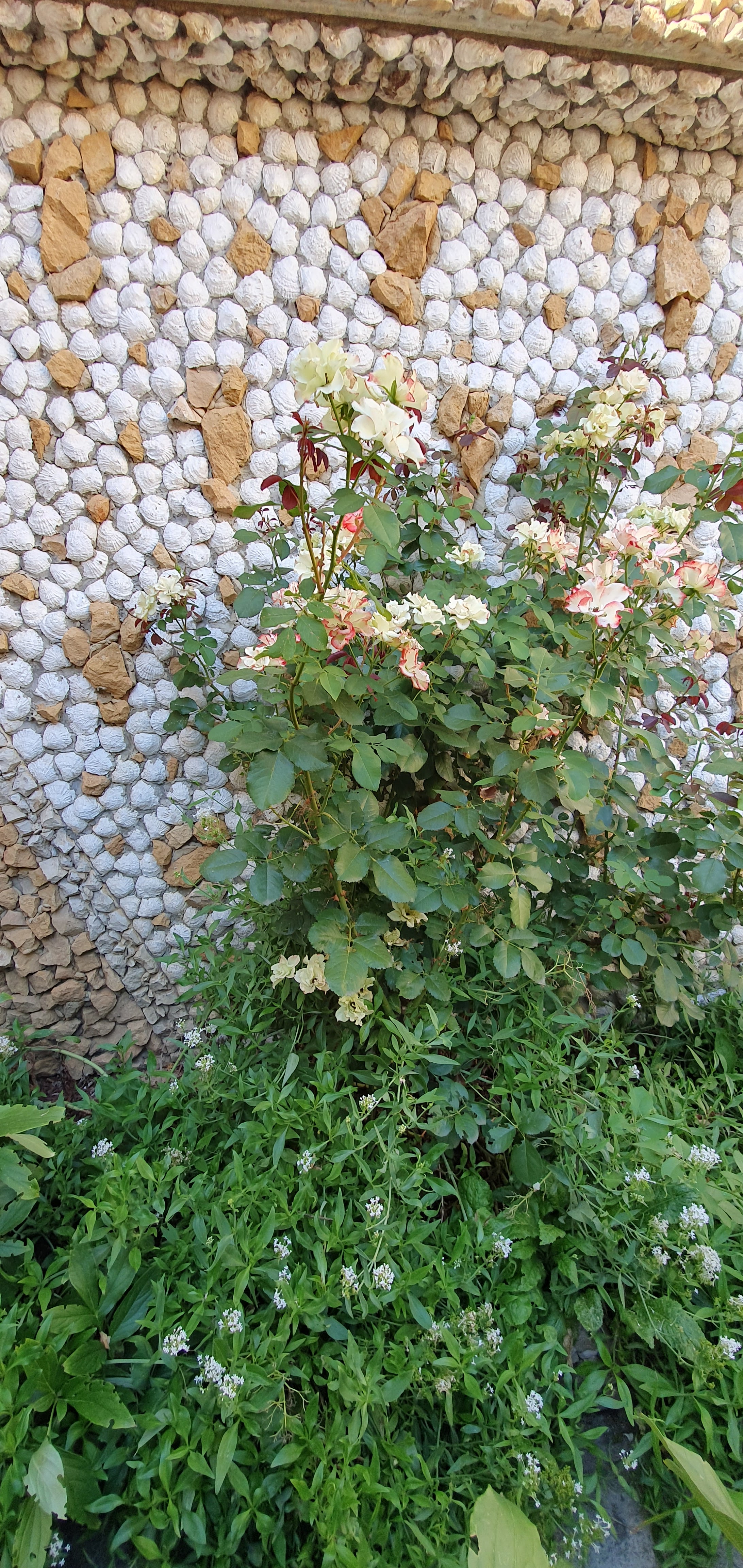 Photo n° 20 de l'avis de Alice.. fait le 12/09/2019 à 01:13