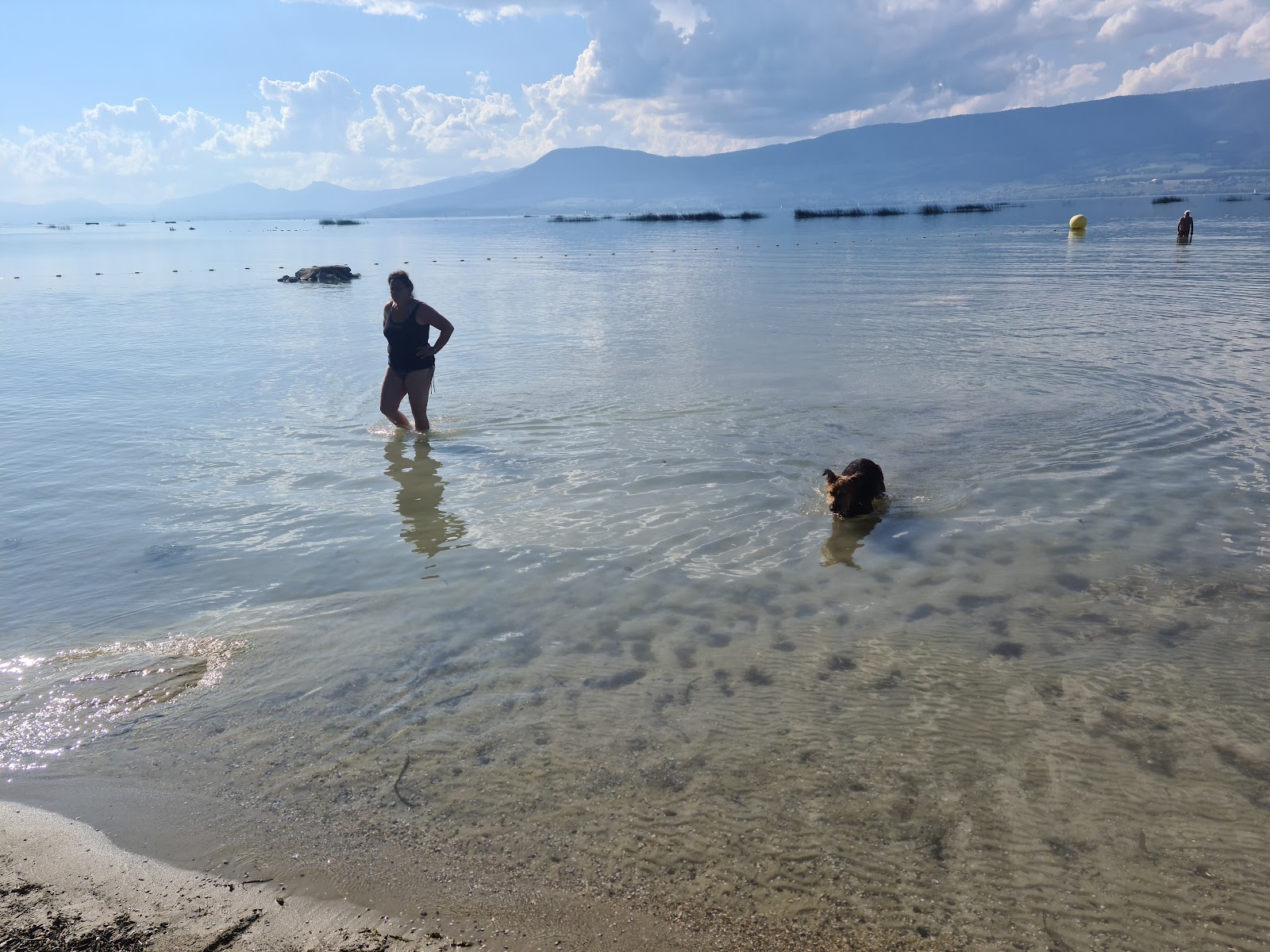 Fotografie cu Forel plage - loc de vacanță prietenos pentru animale de companie