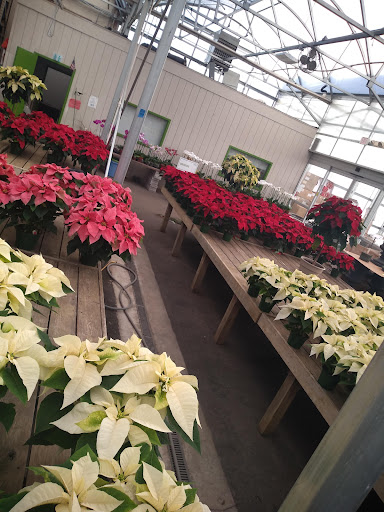 Florist «Sunshine Florist Inc.», reviews and photos, 946 1st Avenue, New York, NY 10022, USA