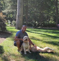 Doggies Place LLC - Photo 2 - Car repair in , Bridgeport