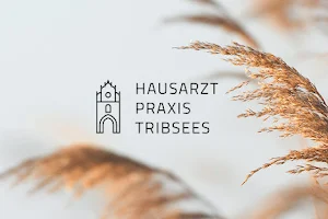 Hausarztpraxis Tribsees image