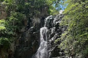 Cascada de la Laja de Arriba, El Grullo, Jal. image
