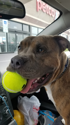 Pet Supply Store «Petco Animal Supplies», reviews and photos, 5925 US-6, Portage, IN 46368, USA