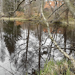 Photo n°6 de l'avis de Sany.- fait le 28/04/2023 à 05:58 sur le  Molkenhaus Bad Harzburg à Bad Harzburg