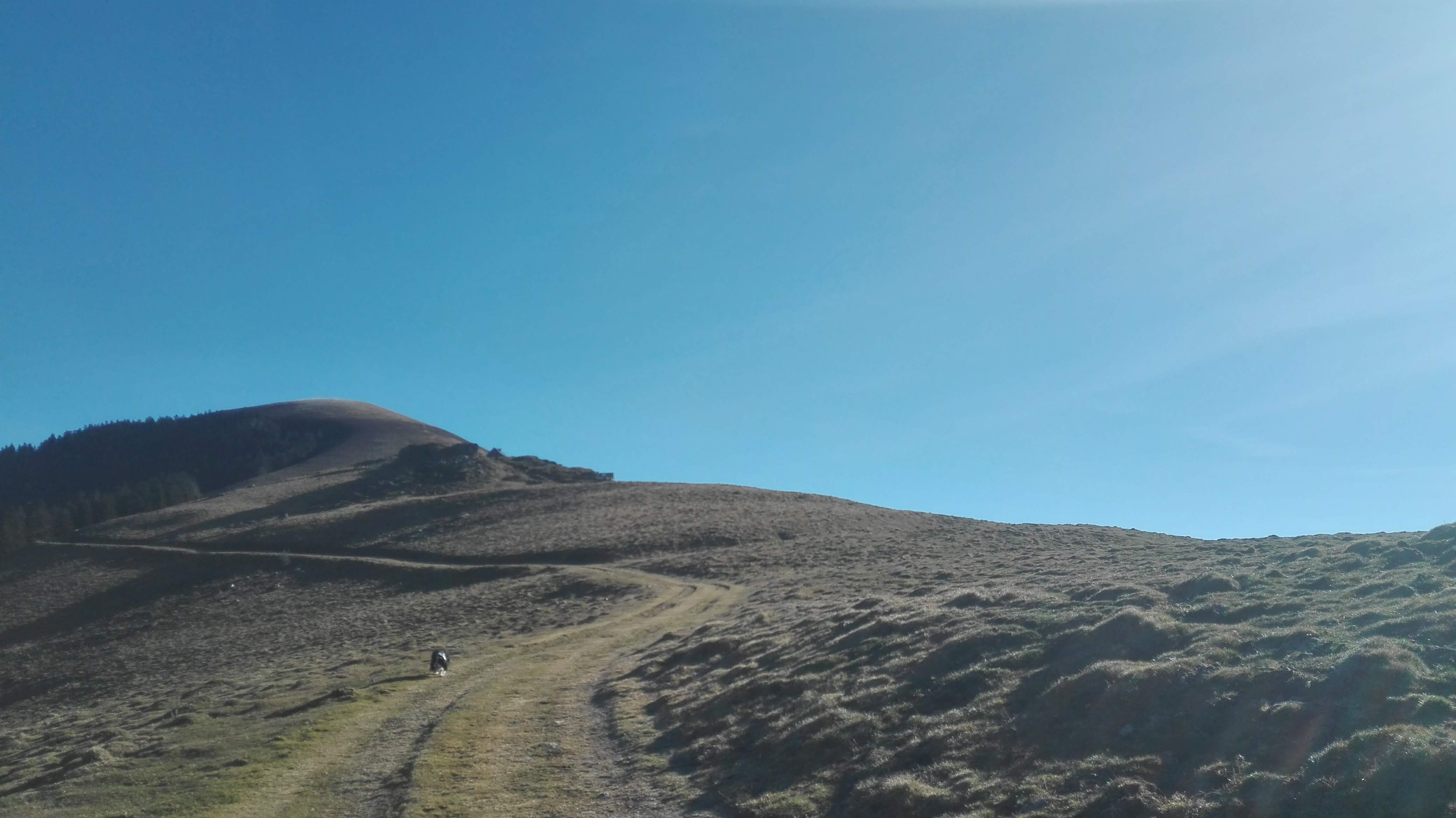 Photo n° 12 de l'avis de LOUIT.O fait le 15/01/2019 à 15:47