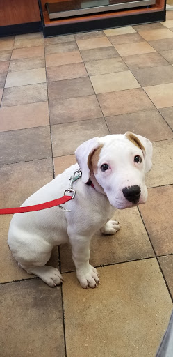 Pet Supply Store «PetSmart», reviews and photos, 976 IL-59, Aurora, IL 60504, USA