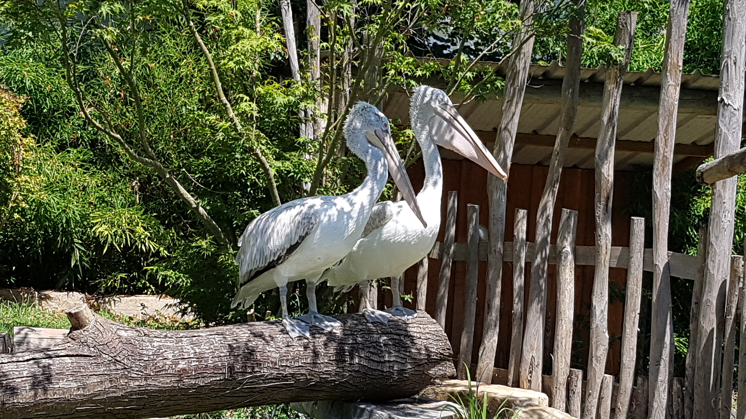 Photo n° 4 de l'avis de Ody. fait le 20/08/2019 à 17:58