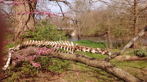 Park «Mather Woods Forest Preserve», reviews and photos, 25032 W Renwick Rd, Plainfield, IL 60544, USA