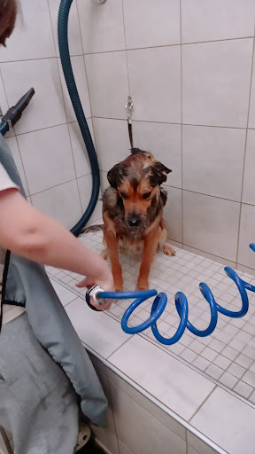 Pet Supply Store «Pet Supplies Plus», reviews and photos, 1377 N 21st St, Newark, OH 43055, USA