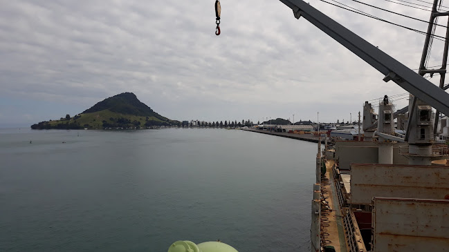 Reviews of Mount Maunganui Wharves Berth 7 in Mount Maunganui - Courier service