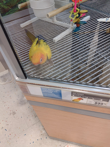 Pet Supply Store «Petco Animal Supplies», reviews and photos, 3680 Spencer Hwy, Pasadena, TX 77504, USA